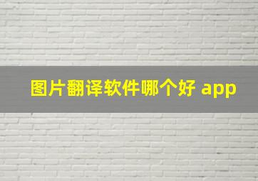 图片翻译软件哪个好 app